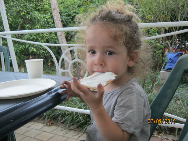 Read more about the article טיפול טבעי בכינים – מסקנות לא צפויות