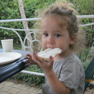 טיפול טבעי בכינים – מסקנות לא צפויות