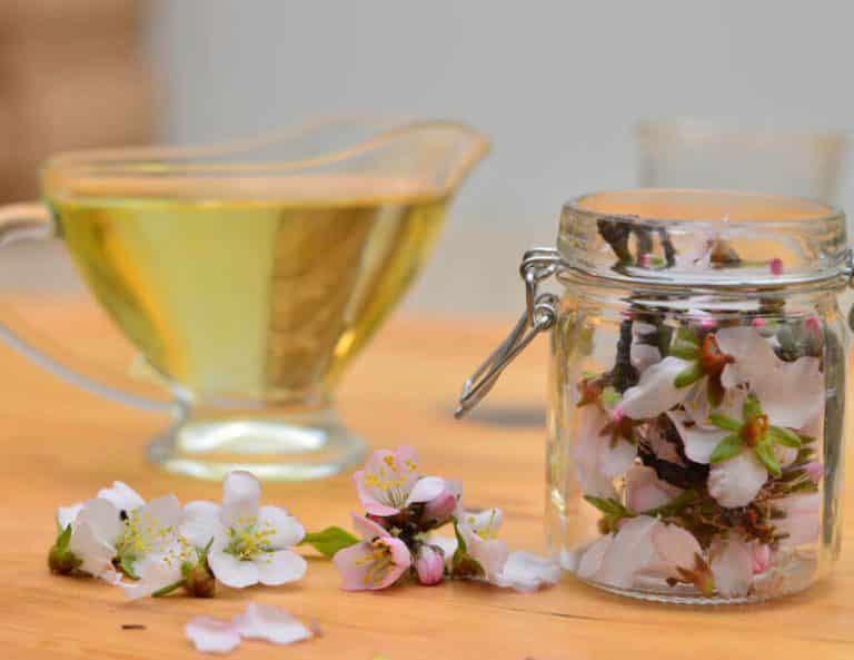 Read more about the article נפלאות תמצית פרחי השקדיה