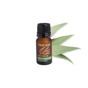 שמן אתרי אקליפטוס רדיאטה