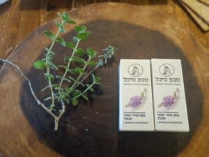 שמן לבנדר – שימושים מעניינים ועוד